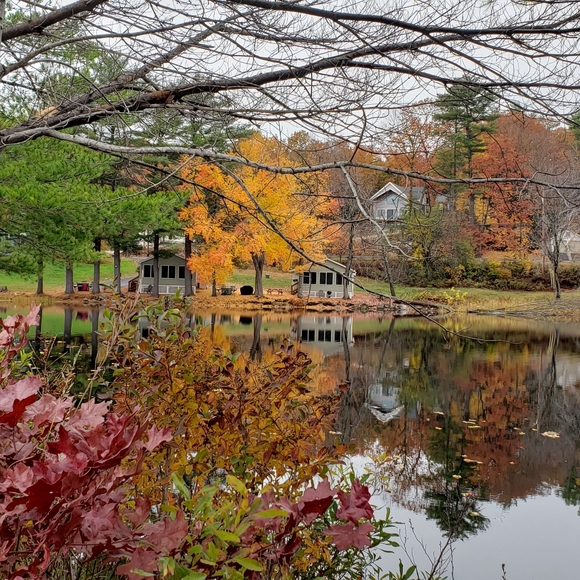 🍂Fall at the feet of Beauty - Picture 10 of 12